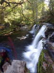 FZ023744 Rock jumpers from Sgwd y Pannwr waterfall.jpg